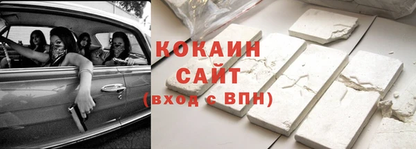 прущие грибы Абдулино