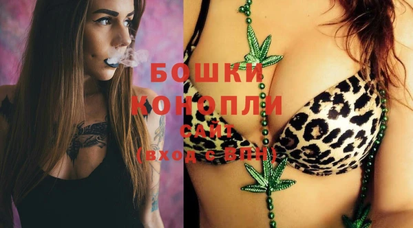 шишки Дмитров